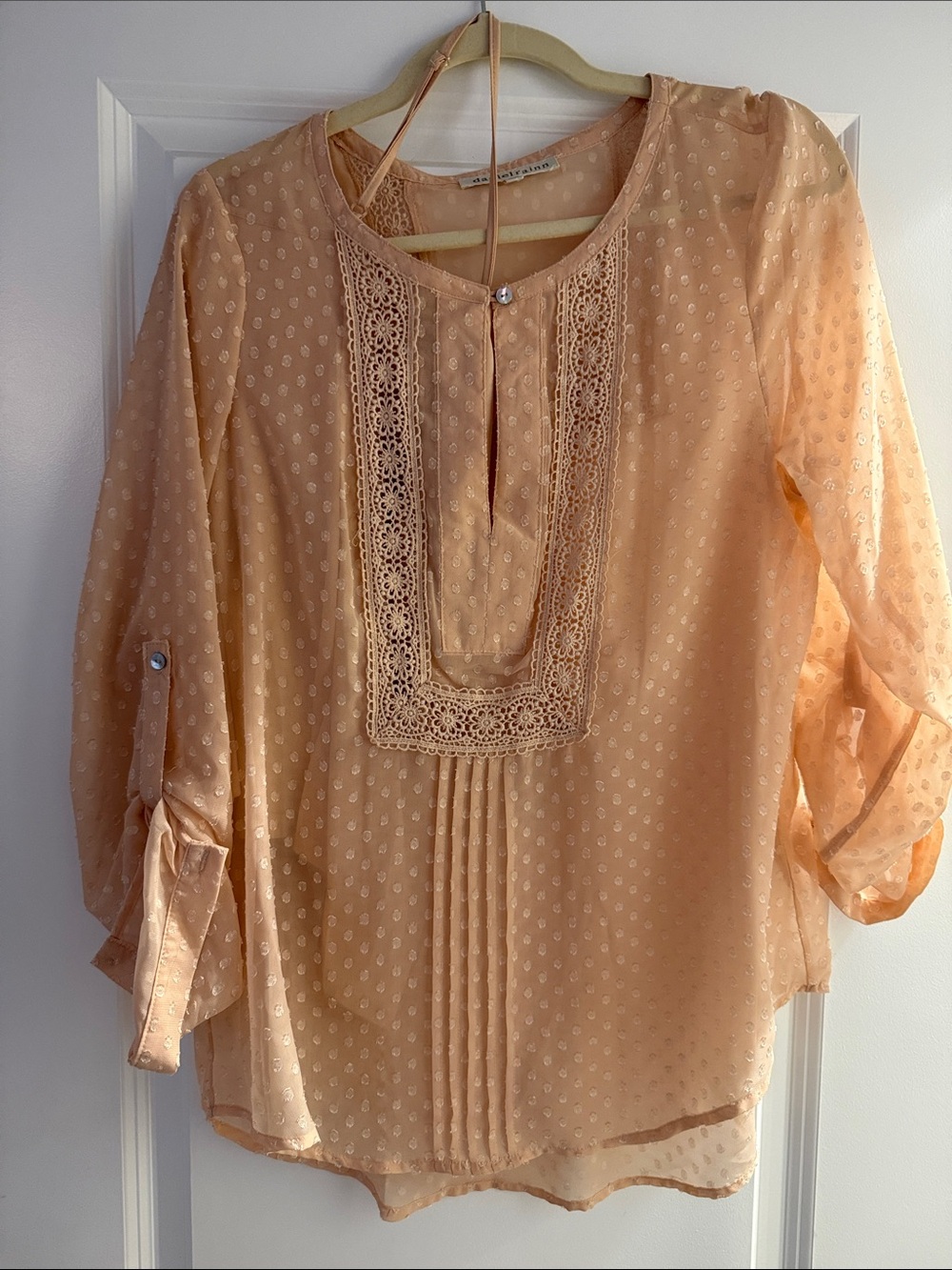 Daniel Rainn Peach Lace-Trim Sheer Blouse